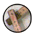 button