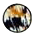 button
