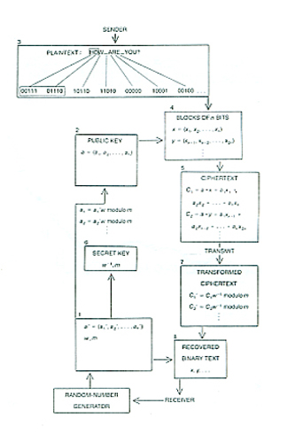 Zero G art + design - image copy protected