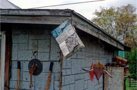 Unhappy Readymade & Bull